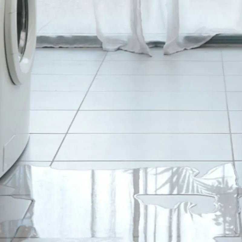 Appliance Leak Cleanup in Mansfield, AR