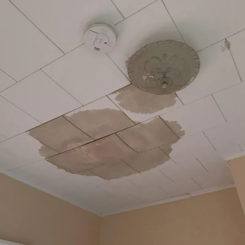 Ceiling Water Damage Repair in Mansfield, AR