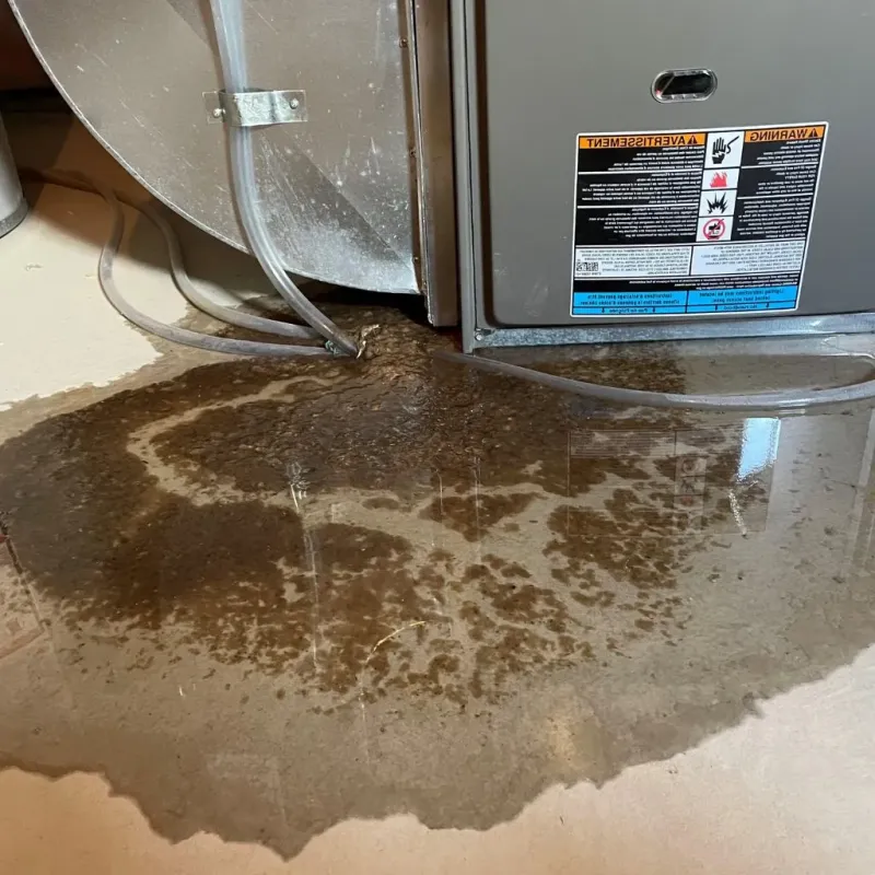 Pipe Burst and Leak Restoration in Mansfield, AR