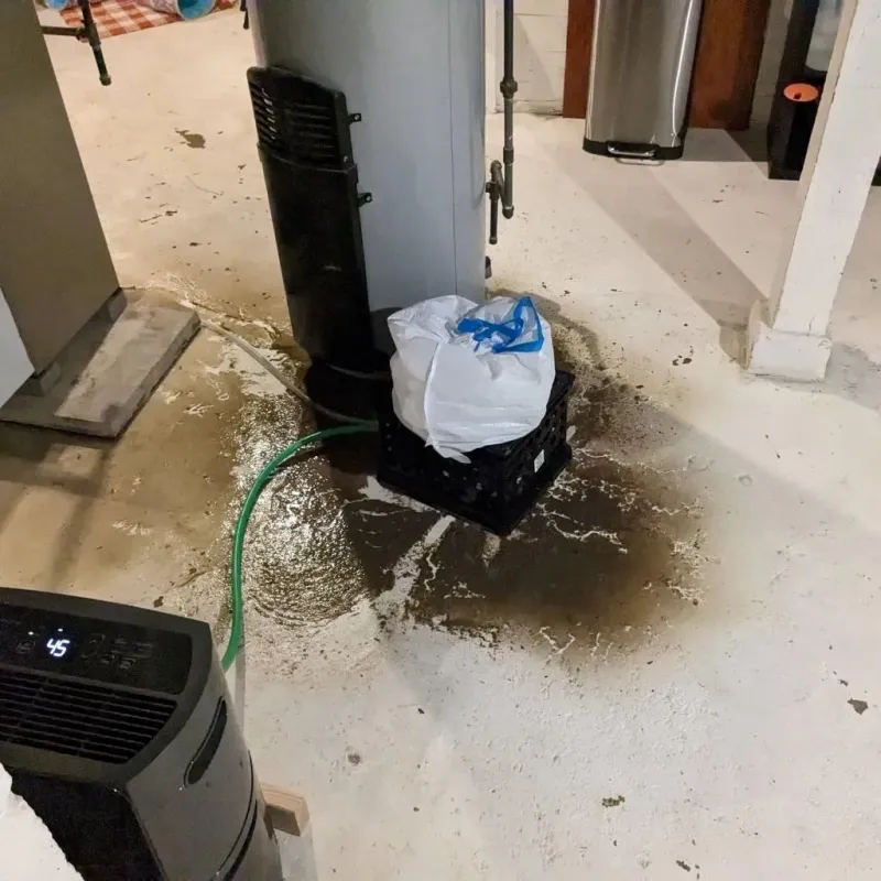 Sewage Backup Cleanup Service in Mansfield, AR